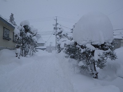 IMGP0028.jpg