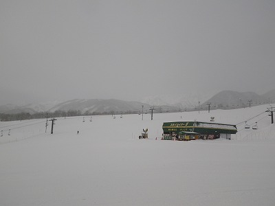 IMGP0132.jpg