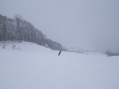 IMGP0227.jpg