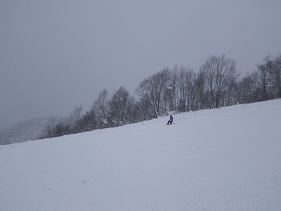 IMGP0229.jpg