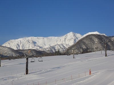 IMGP0254.jpg