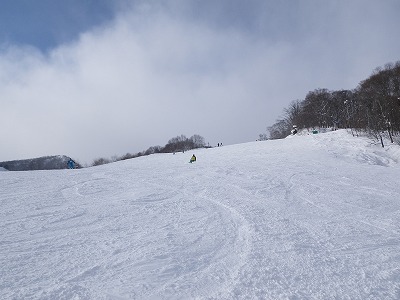 IMGP0419.jpg