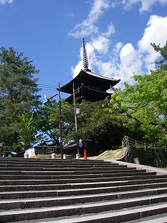 奈良観光　興福寺の五重塔.jpg