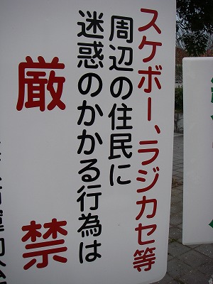 IMGP4117.jpg