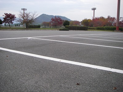 IMGP4118.jpg