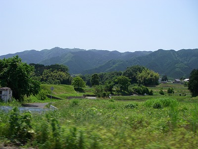 初夏の山