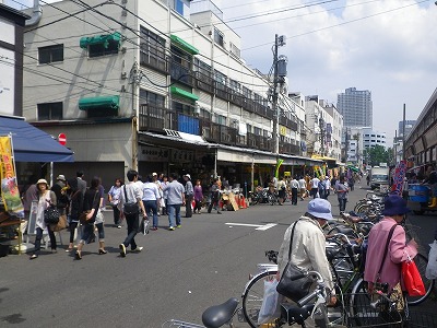 IMGP6516.jpg