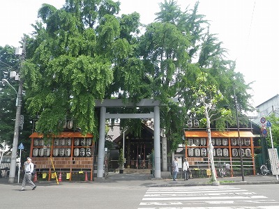 IMGP6519.jpg
