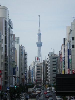 IMGP6523.jpg