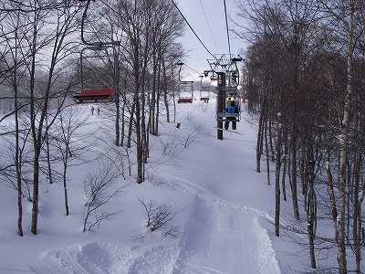 IMGP7828.jpg