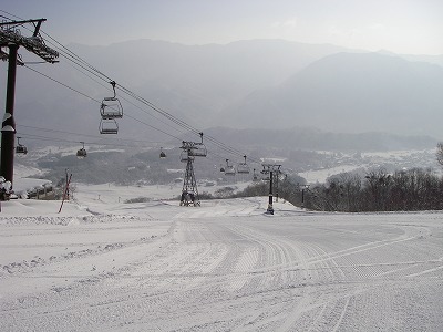 IMGP8407.jpg