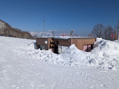 PXL_20250227_054116238.jpg