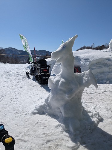 PXL_20250301_010256904.jpg