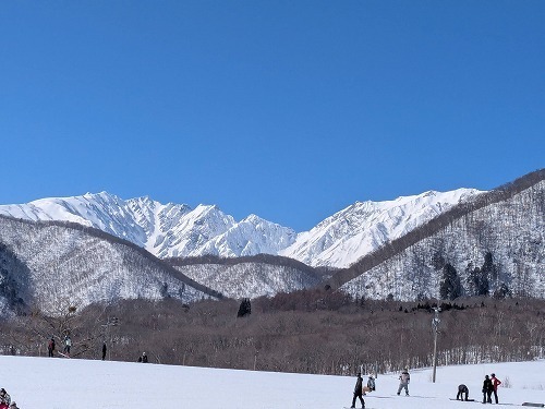PXL_20250301_011016938.jpg