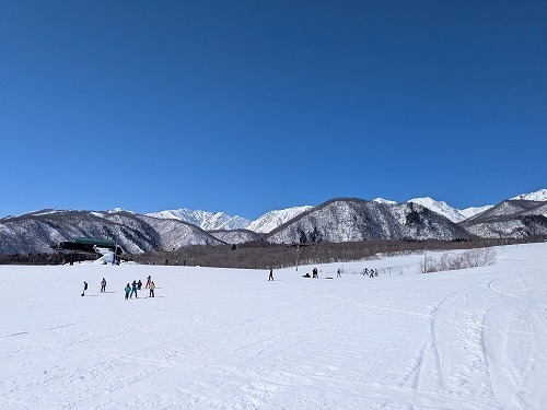 PXL_20250301_03.jpg