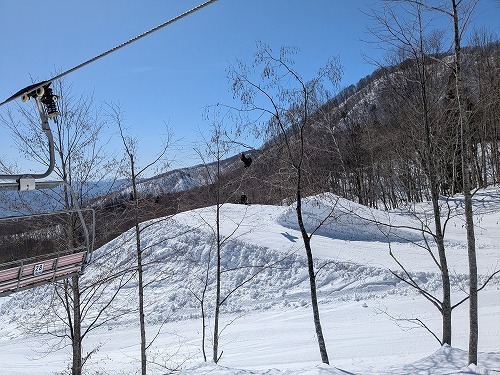 PXL_20250301_09.jpg