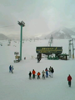 080113_1306~010001.JPG