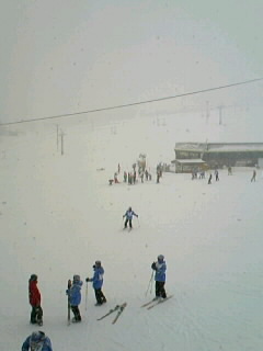 080124_1505~010001.JPG