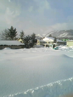 080125_0817~010001.JPG