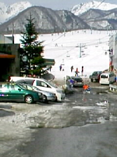 080316_0916~0100010001.JPG